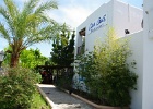 ibiza (159)