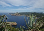 ibiza (167)