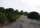 ibiza (168)