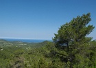 ibiza (19)