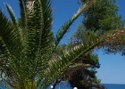 ibiza (48)